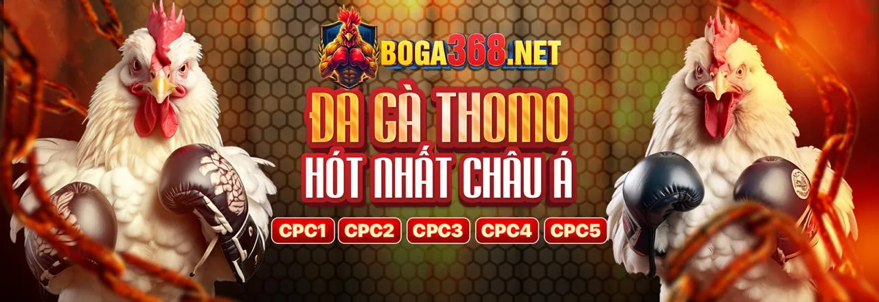 Hình ảnh đá gà trực tuyến sôi động tại HH88 Code